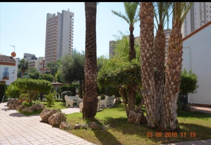 Sunshine Apartament Apartment Benidorm Bagian luar foto