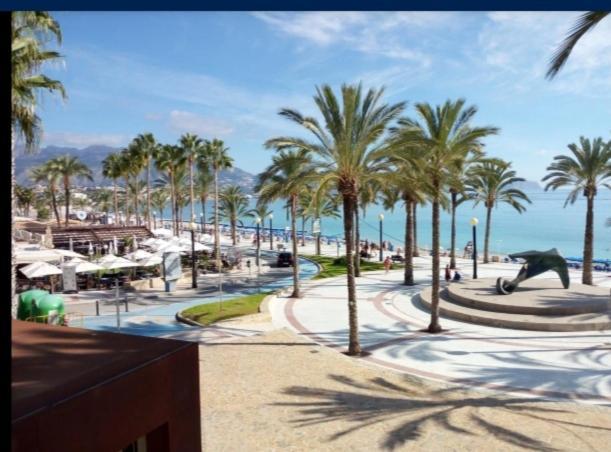 Sunshine Apartament Apartment Benidorm Bagian luar foto